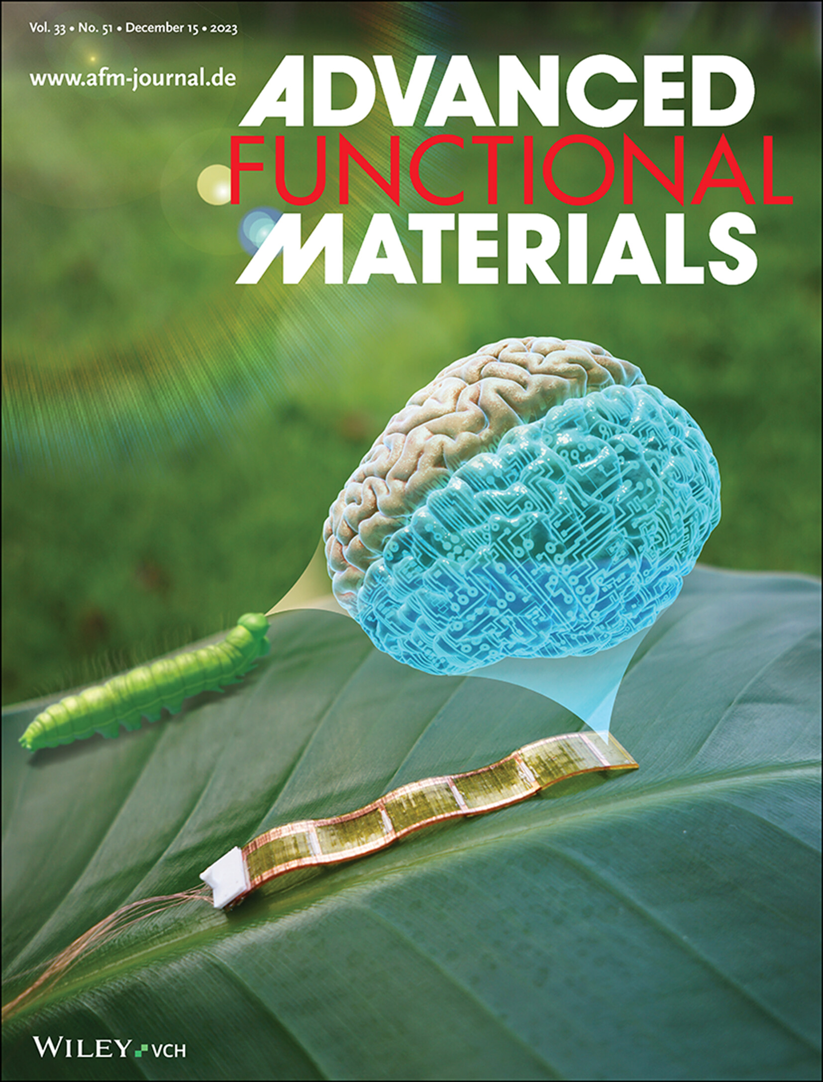Advanced Functional Materials Cover 2023