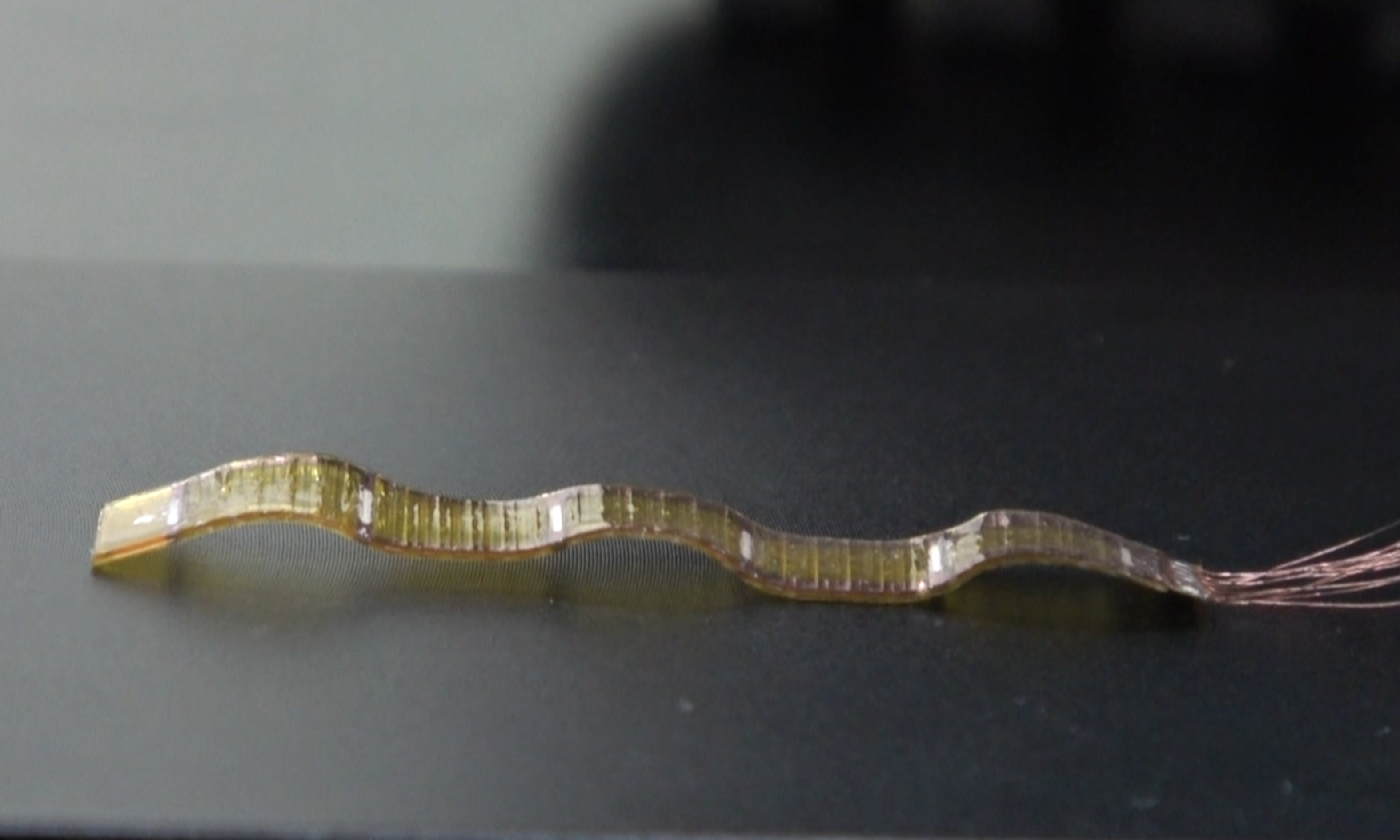 Soft Robotic Flatworm